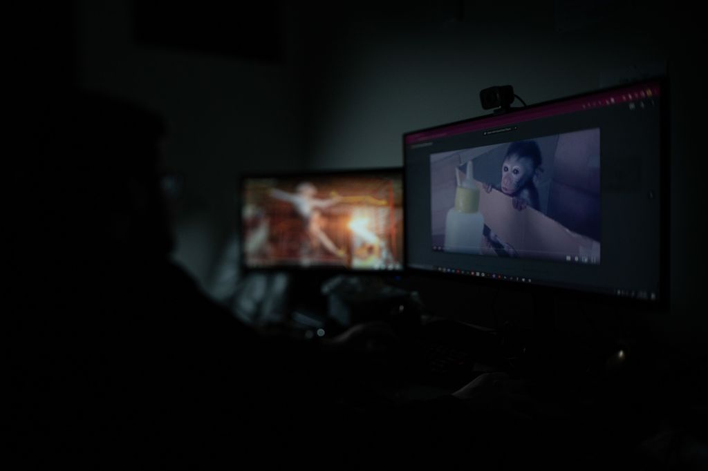 Monkey Torture Videos: Why Humans Behave Like&nbsp;This